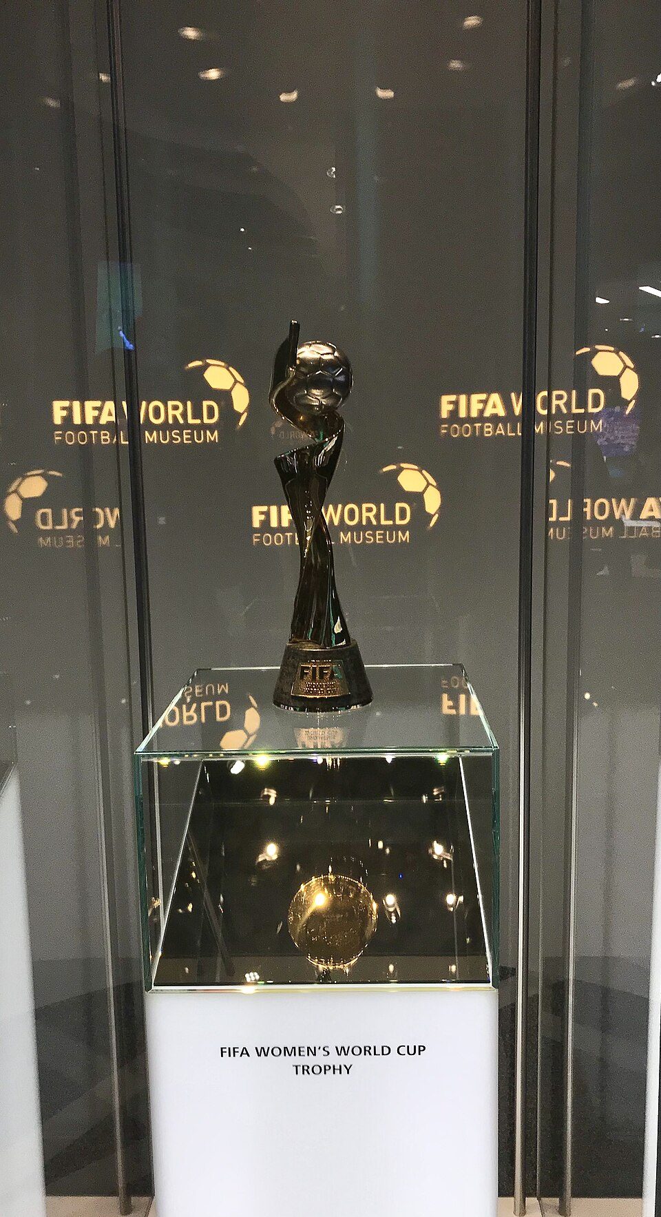 巴西 vs 德国 比分预测|世界杯预选赛 开球时 现场